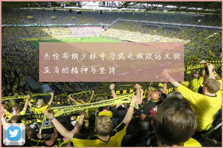 杰伦布朗少林寺习武之旅效仿文班亚马的精神与坚持
