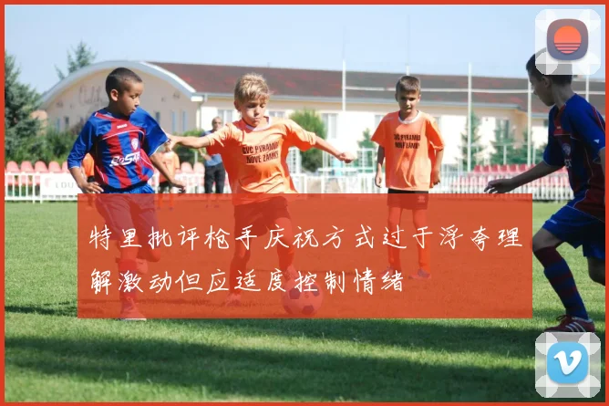 特里批评枪手庆祝方式过于浮夸理解激动但应适度控制情绪