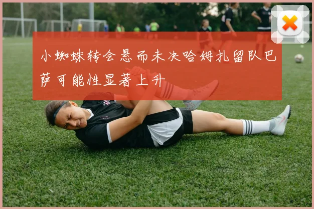 小蜘蛛转会悬而未决哈姆扎留队巴萨可能性显著上升